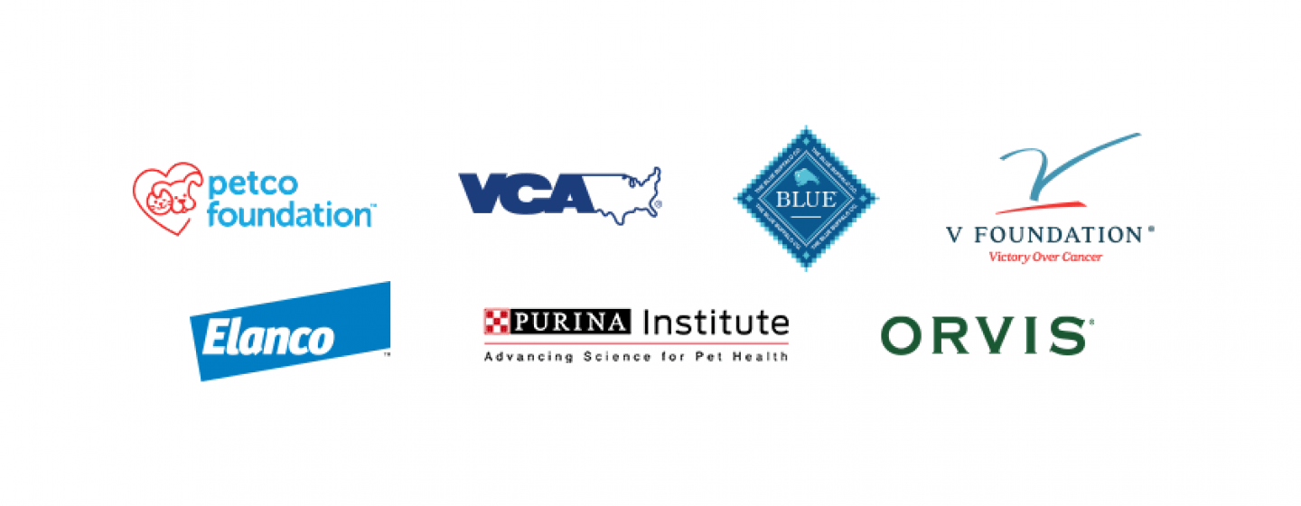GRLS Platinum Partners