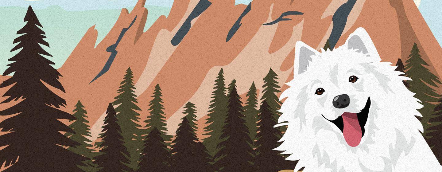 National Dog Day Illustration