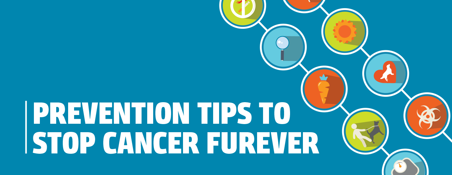 Illustration with icons representing pet health and wellness—nutrition, exercise, sun safety, and toxins—alongside bold text: “Prevention Tips to Stop Cancer Furever.”