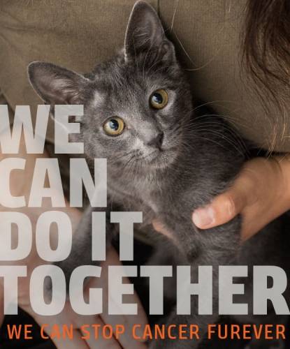 We Can Do It Together. We Can Stop Cancer Furever.