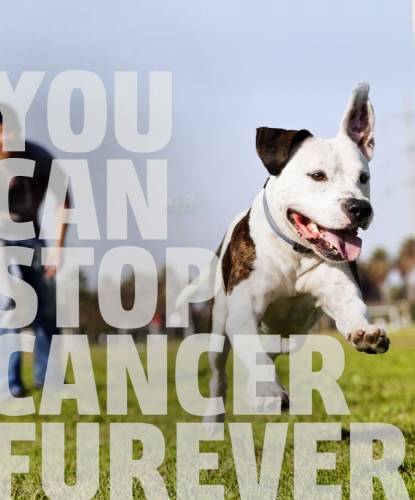 You Can Stop Cancer Furever