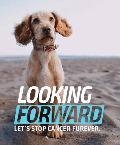 Looking Forward Let's Stop Cancer Furever