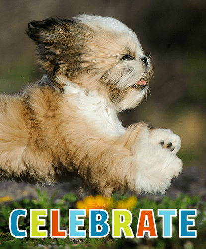 Celebrate