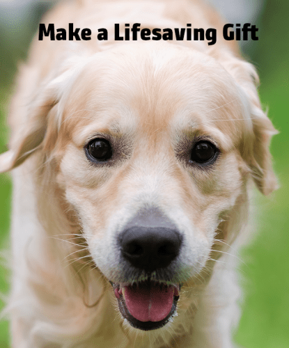 Make a lifesaving gift