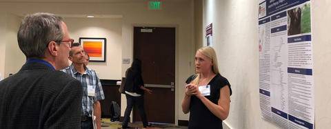 Morris Animal Foundation Veterinary Student Scholar