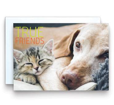 Pet Memorial pack