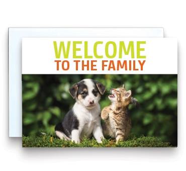 Welcome pack