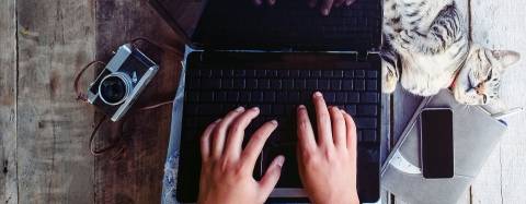 Person on Computer with Cat