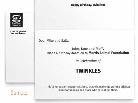 Image of inside of the Panda Photo Birthday Card with sample text
