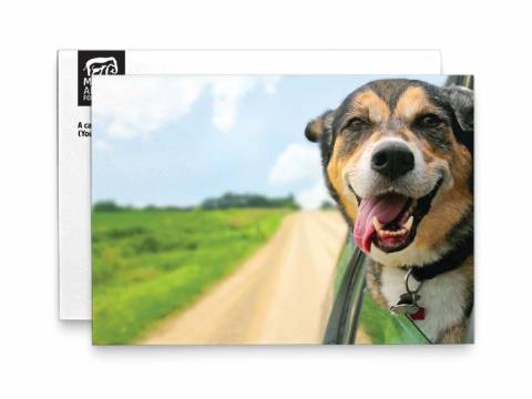 Card Front