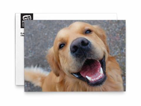 Image of front of the Golden Retriever Photo Birthday Card