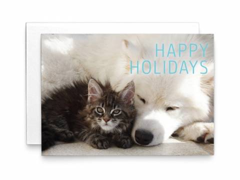 Image of front of the Holiday Card Cat & Dog 