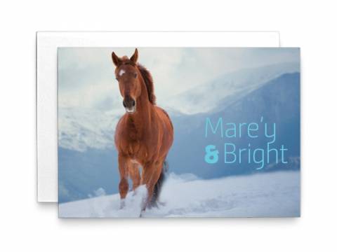 Image of front of the Holiday Card Horse 