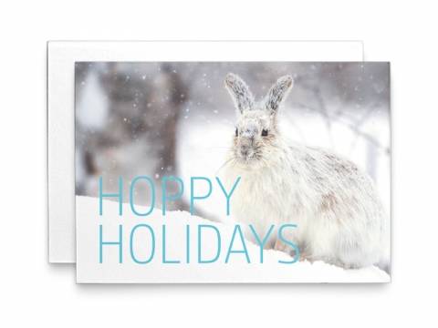Image of front of the Holiday Card Wildlife