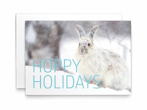 Image of the Holiday Card Wildlife