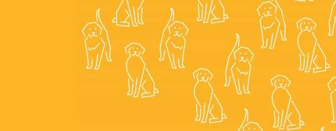 Golden Retriever Icons