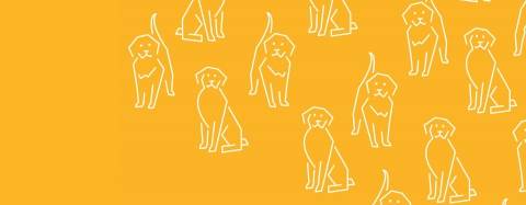 Golden Retriever Icons