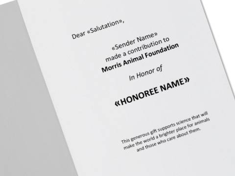 Image 2 of inside of the Sending Some Love Honor Card with placeholder text