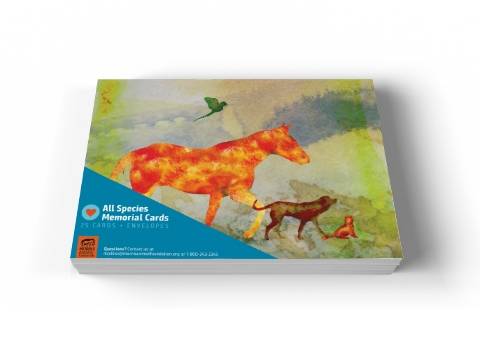 Image of front of the All Species Memorial Card Pack: Classic
