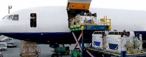 Horses on an airplane