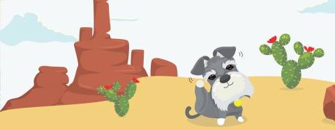 itchy dog and cactus