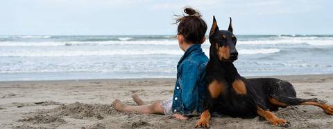 Doberman and owner on beach