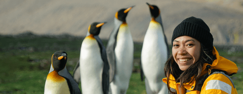 Research student with penguins