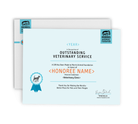 image of the vet certificate blank