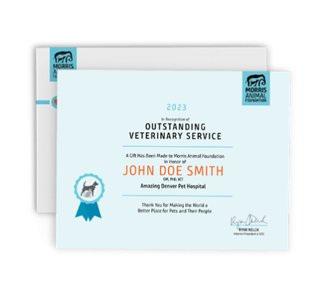 Image of vet certificate filled out 