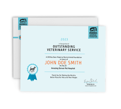 Image of vet certificate filled out