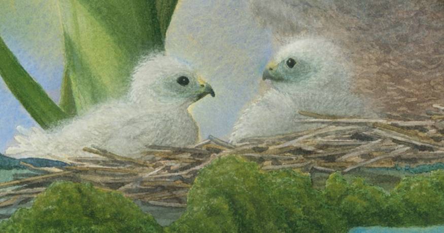 Rebeccca's Painting