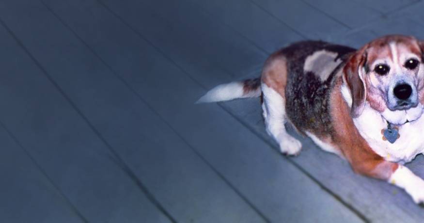 Wiley