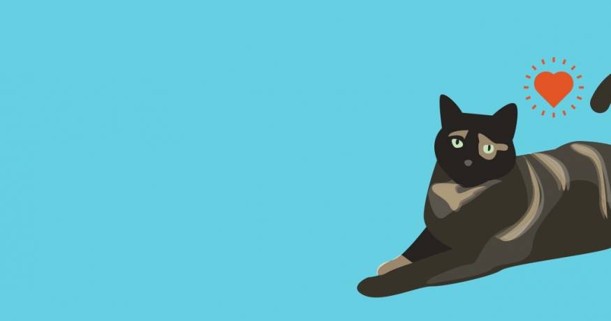 Cat Icon
