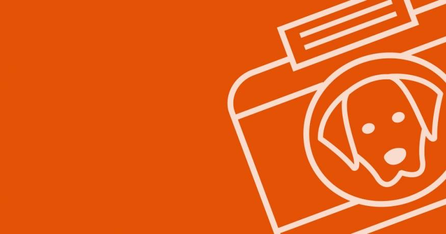 Icon of camera and dog