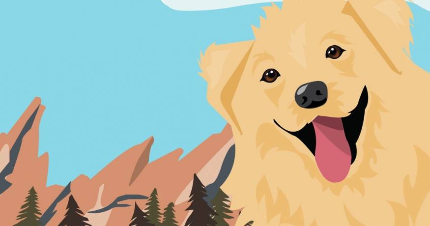 Golden Retriever Illustation