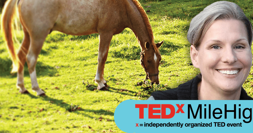 Molly McCue and horse