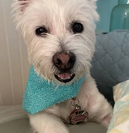 Fergie Profile Image