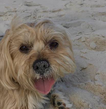 Bailey Profile Image