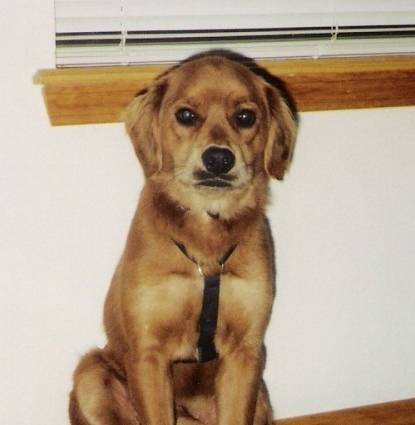 Teddy Bear "Bear" Ferguson Profile Image