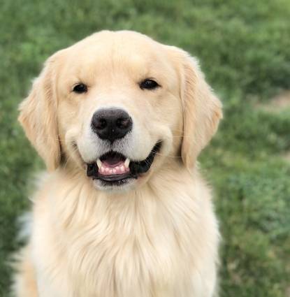 Bailey Profile Image