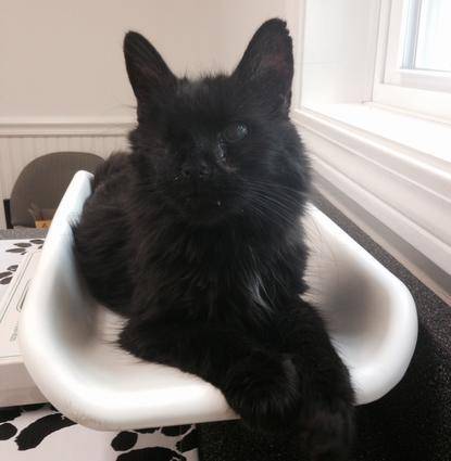 Binx Profile Image Binx Profile Image