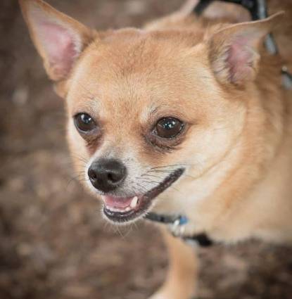 Finnie Profile Image