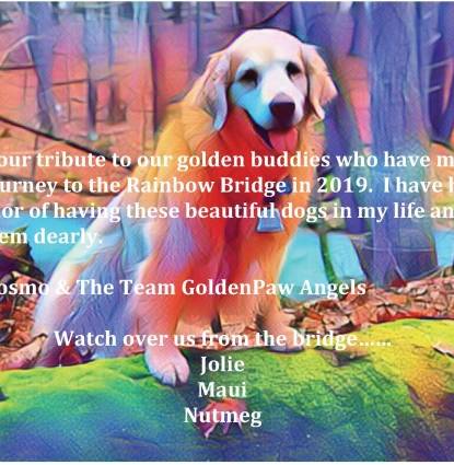 Friends of Team GoldenPaw 2019 Profile Image