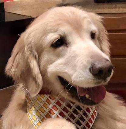 Maddy  Profile Image