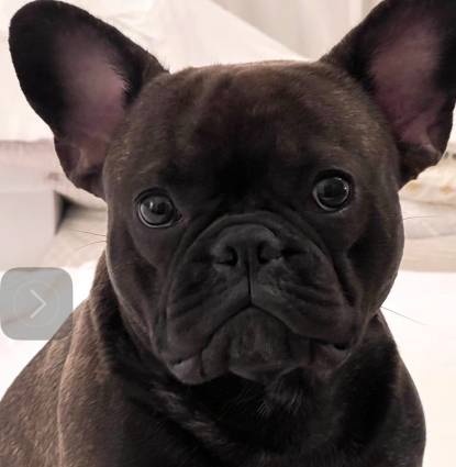 Jack Profile Image