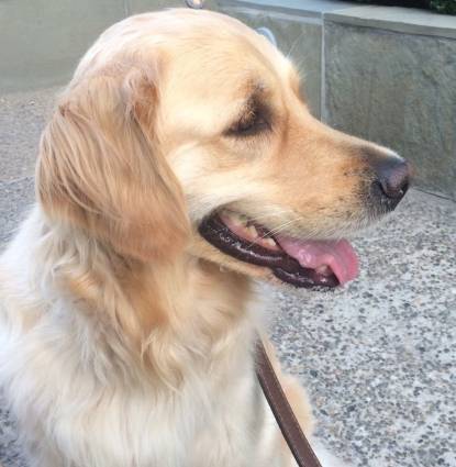 Nellie Profile Image