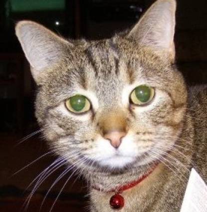 Pip Profile Image
