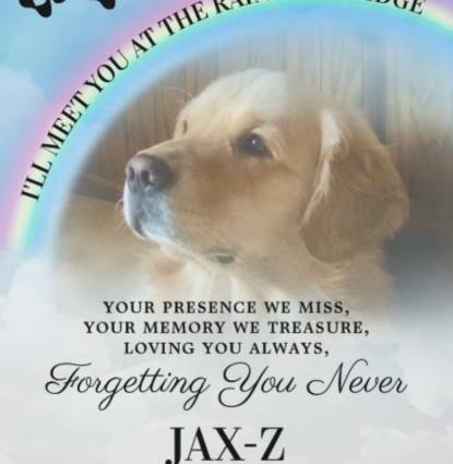 Jax-Z Profile Image Jax-Z Profile Image