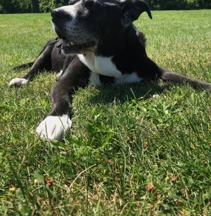 Sawyer