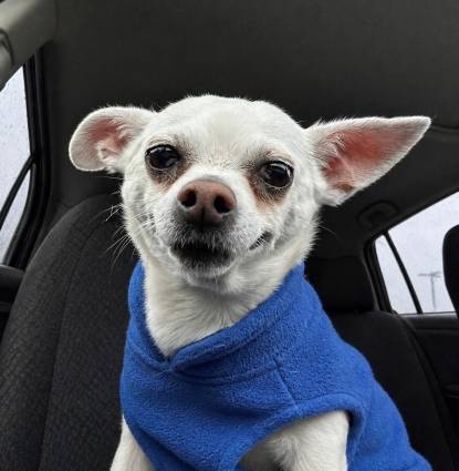 Tito Profile Image